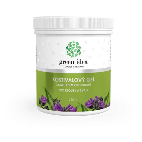 Green idea Kostihojový masážny gél - pri bolestiach kĺbov 250 ml