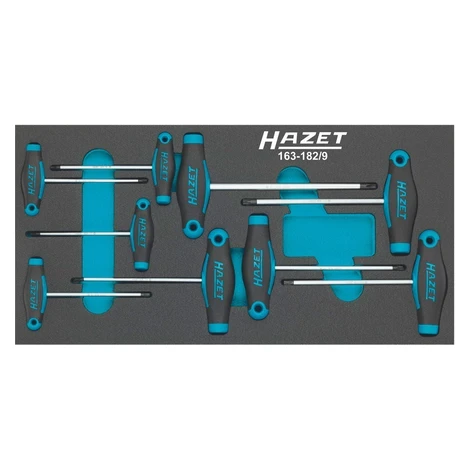 Sada T-skrutkovačov TORX 163-182/9 - HA162352 Hazet