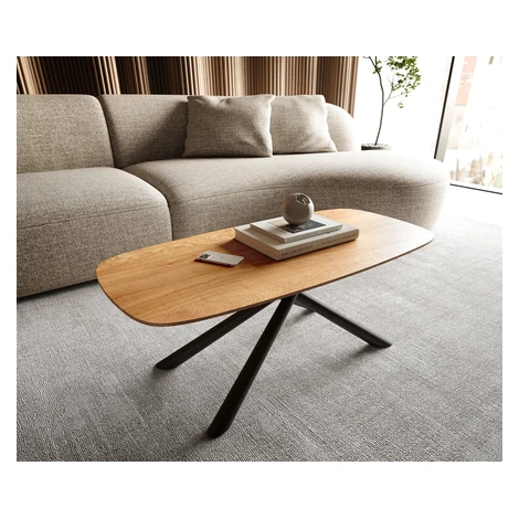 DELIFE Konferenčný stolík Edge zaoblený tvar 100x50 cm dub prírodný švajčiarska hrana Sarity kov