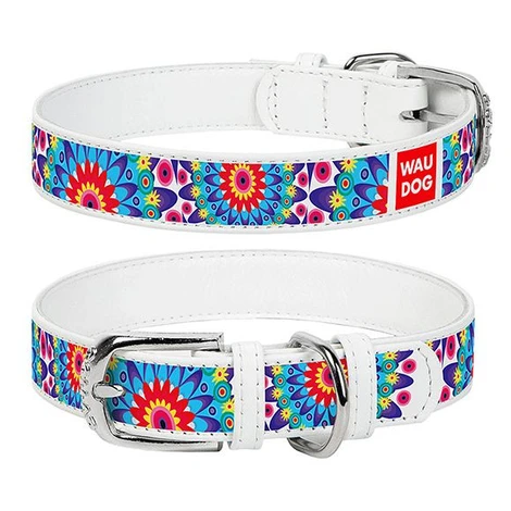 Kožený obojok WAUDOG Flowers - biely 2,5 cm x 38 - 49 cm