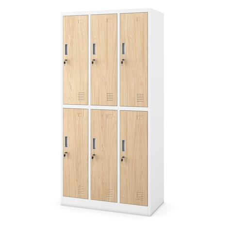 Kovová šatňová skriňa s 6 boxami IGOR, 900 x 1850 x 450 mm, Eco Design: biela/ dub sonoma