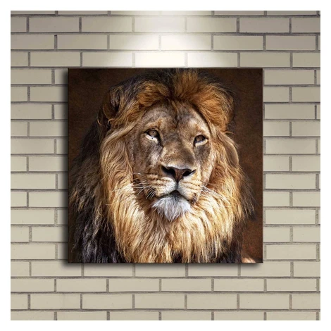 Obraz s LED svetlom KRÁĽ ZVIERAT 20 40 x 40 cm