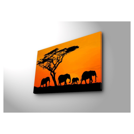 Obraz s LED osvetlením SLONIE PUTOVANIE 53 45 x 70 cm