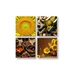 Obraz na stenu Taste of the Sun 4 dielny XOBKOL15E42